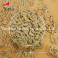 Direct Manufacture Sale Sunflower Seed Kernels Sunflower Kernels